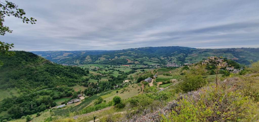 Sorties VTT et Trails Juillet Août Sept (97)