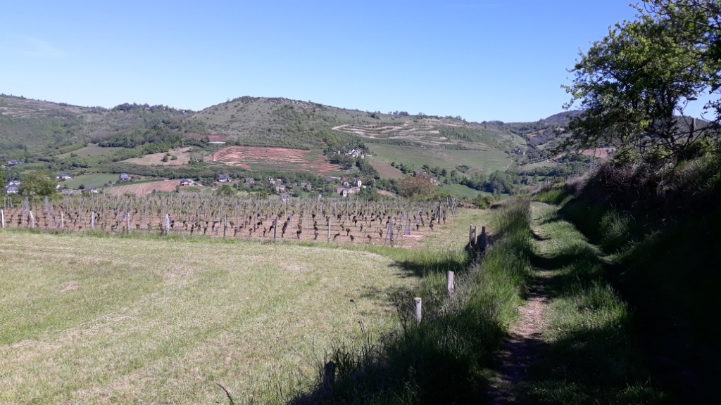 Sur les chemins du parcours 35 Km 14 Mai 2019 32 Km 1000+ (19)