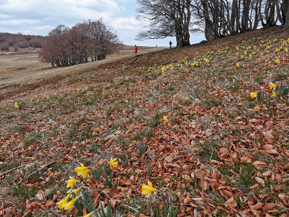 Trail TransAubrac A vril 2019 (1)