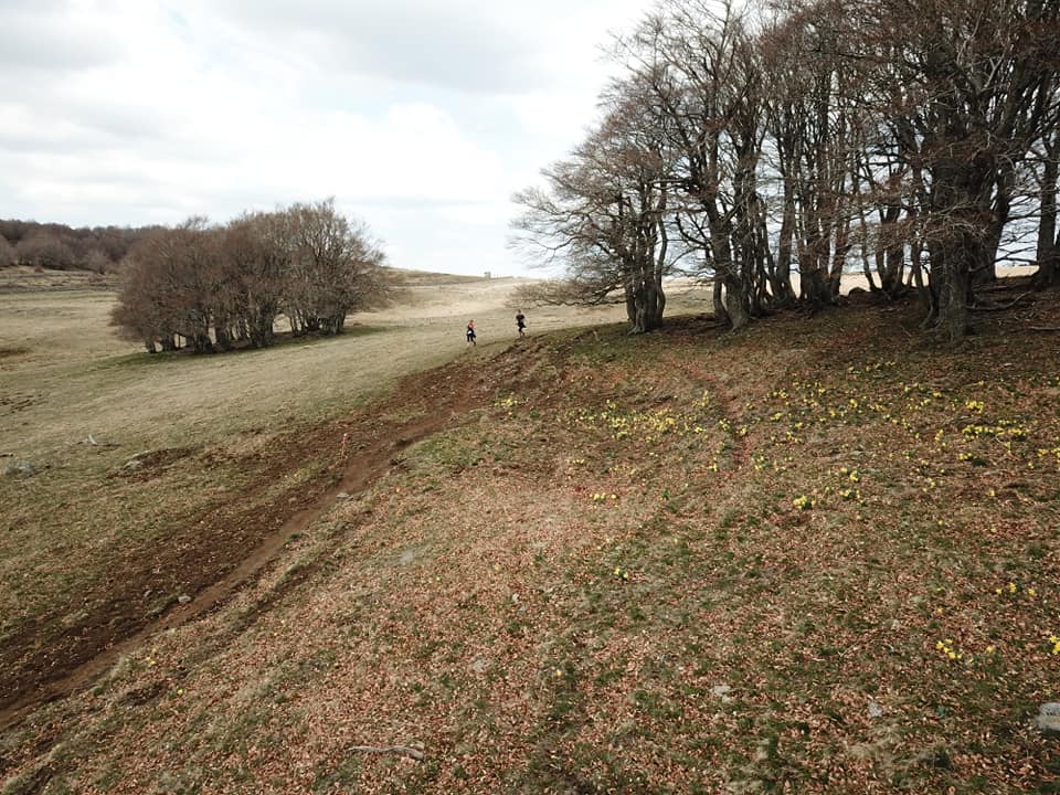 Trail TransAubrac A vril 2019 (15)