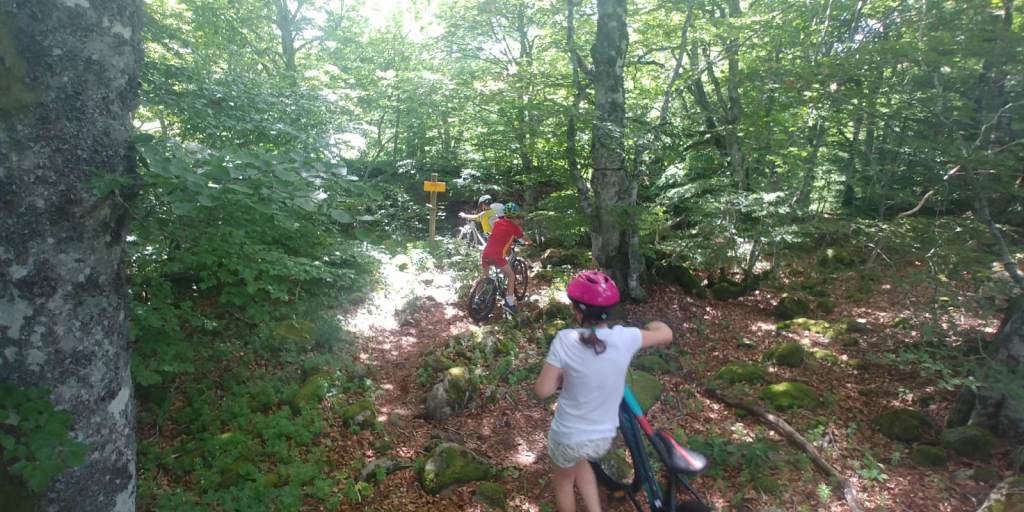 WE LGS Laguiole Juin 2019 (250)