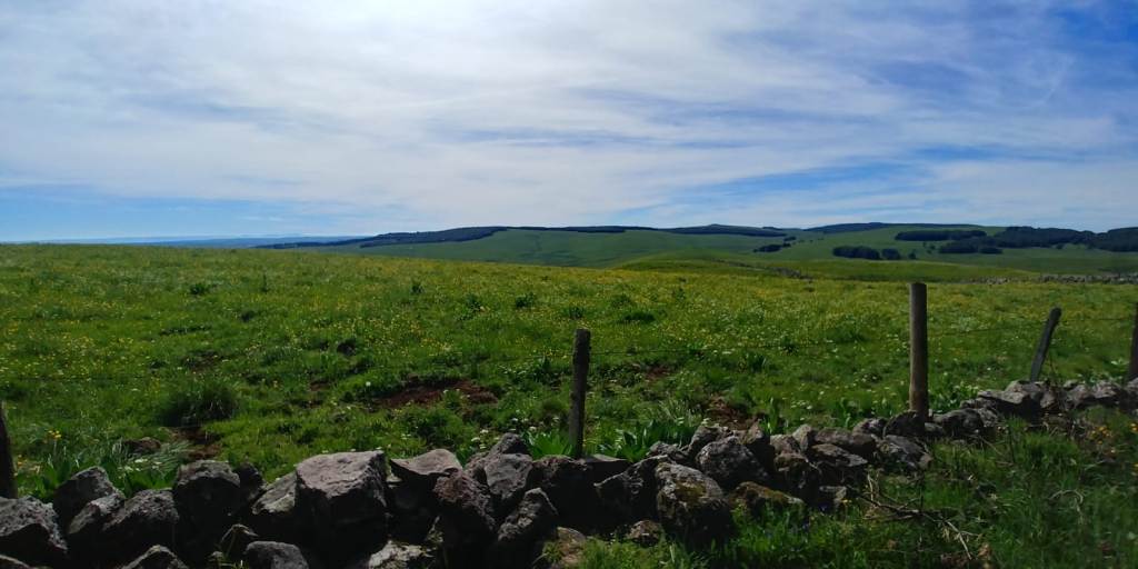 WE LGS Laguiole Juin 2019 (260)