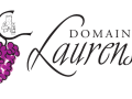 Logo domaine laurens